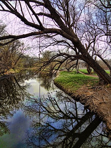 rope swing over the Cache la Poudre River