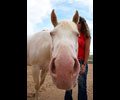 Cloud and Kris at Four Directions Horse Farm