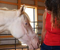 Cloud and Kris at Four Directions Horse Farm