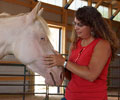 Cloud and Kris at Four Directions Horse Farm