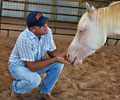 Cloud and Will at Four Directions Horse Farm
