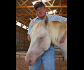 Cloud and Will at Four Directions Horse Farm