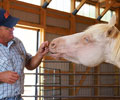 Cloud and Will at Four Directions Horse Farm