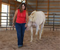 Cloud and Kris at Four Directions Horse Farm