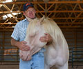 Cloud and Will at Four Directions Horse Farm