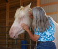 Cloud and Colleen at Four Directions Horse Farm