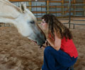 Star and Kris at Four Directions Horse Farm