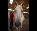 Star and Kris at Four Directions Horse Farm