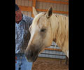 Star and Will at Four Directions Horse Farm