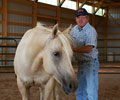 Star and Will at Four Directions Horse Farm