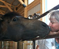 Jay with Colleen at Four Directions Horse Farm