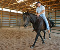 Jay with Will at Four Directions Horse Farm
