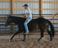 Jay with Will at Four Directions Horse Farm
