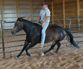 Jay with Will at Four Directions Horse Farm