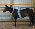 Jay with Will at Four Directions Horse Farm