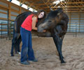 Jay with Kris at Four Directions Horse Farm