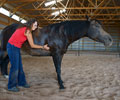 Jay with Kris at Four Directions Horse Farm