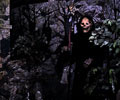 Scream Theme Haunted House skeleton man