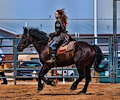 Holly Austin jousting at the Larimer County Fair