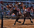 Holly Austin jousting at the Larimer County Fair