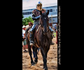 Holly Austin jousting at the Larimer County Fair