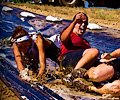 2013 Mud Bridade