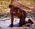 2013 Mud Bridade