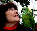 Yellow Front Amazon Parrot at the RMSA Exotic Bird Festival