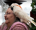 Moluccan Cockatoo at the RMSA Exotic Bird Festival