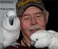 Cockatoos