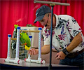 John Vincent's Top Hogs Show