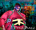 Poke Ball (Pokemon) - Denver Comic Con 2015
