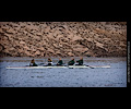 Horsetooth Ache rowing race 4-man boat