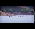 Horsetooth Ache rowing race 7-man boat