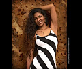 Trenice