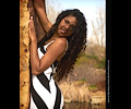Trenice