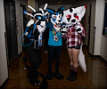 Fort Collins Comic Con 2017