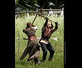 Medieval Festival Order of Epona