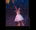 Nutcracker Ballet 2018