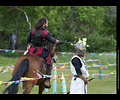 Knights of the Tempest