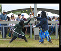 Medieval Combat