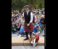 Tour de Corgi