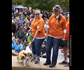 Tour de Corgi