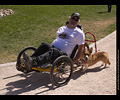 Tour de Corgi