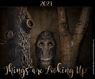 2021 - Things are Looking Up