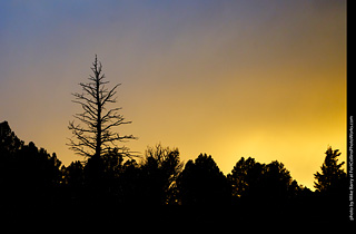 ATC 2019 - Day 1 Evening