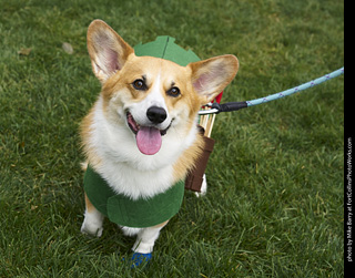 2019-09-28 Tour de Corgi (Robin Hood)