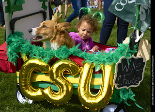 2019-09-28 Tour de Corgi (CSU)