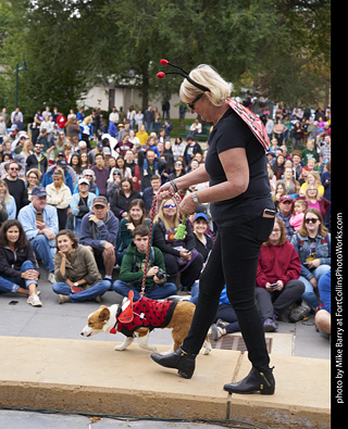 Tour de Corgi - Costume Contest - Lady Bugs