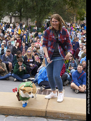 Tour de Corgi - Costume Contest - Robin Hood